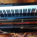 Pilot Light School of Music 